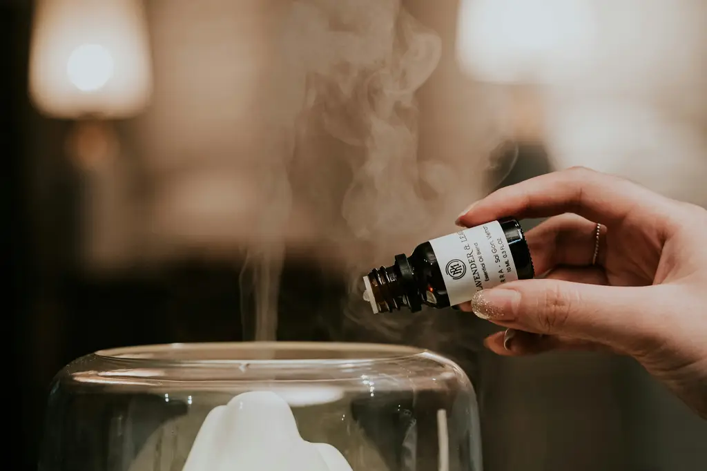 揮別疲倦睡不著！台灣用語解析睡眠困擾